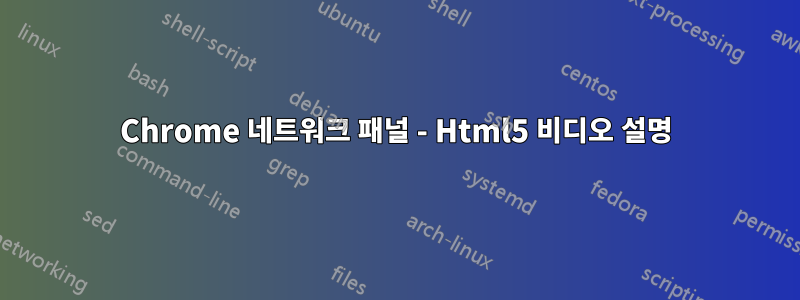 Chrome 네트워크 패널 - Html5 비디오 설명