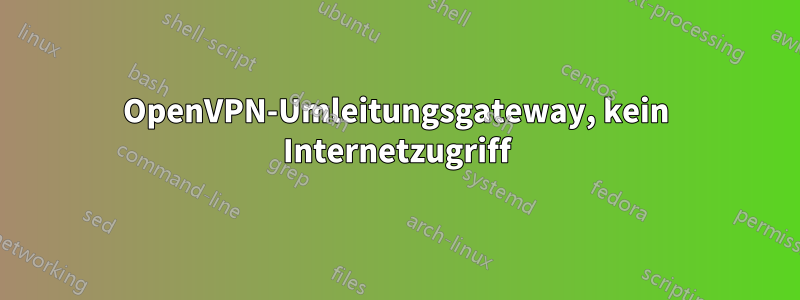 OpenVPN-Umleitungsgateway, kein Internetzugriff