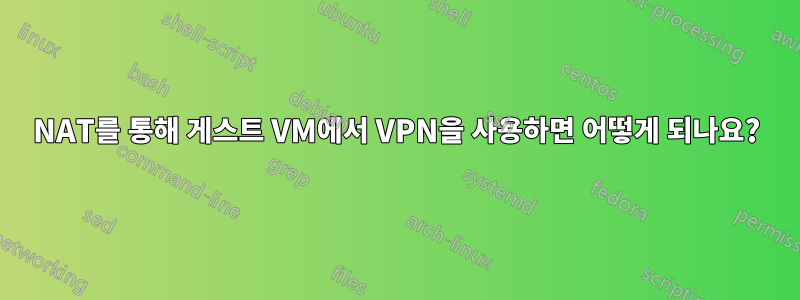 NAT를 통해 게스트 VM에서 VPN을 사용하면 어떻게 되나요?