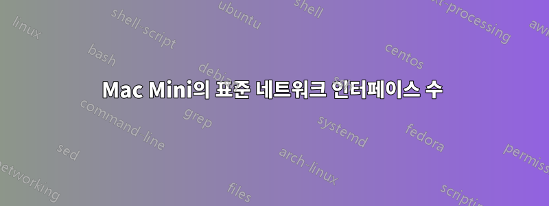 Mac Mini의 표준 네트워크 인터페이스 수