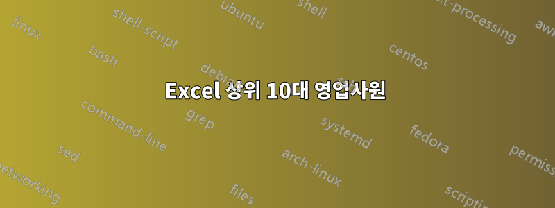 Excel 상위 10대 영업사원