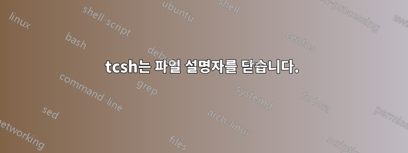 tcsh는 파일 설명자를 닫습니다.