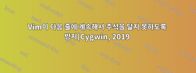 Vim이 다음 줄에 계속해서 주석을 달지 못하도록 방지(Cygwin, 2019)