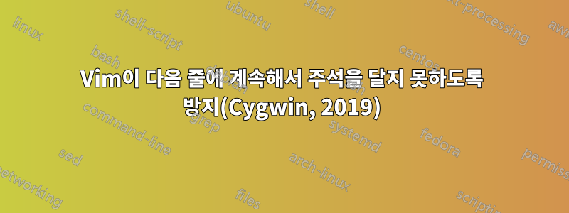 Vim이 다음 줄에 계속해서 주석을 달지 못하도록 방지(Cygwin, 2019)