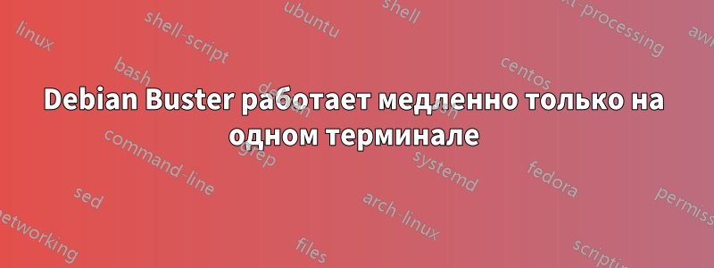 Debian Buster работает медленно только на одном терминале