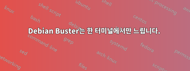 Debian Buster는 한 터미널에서만 느립니다.