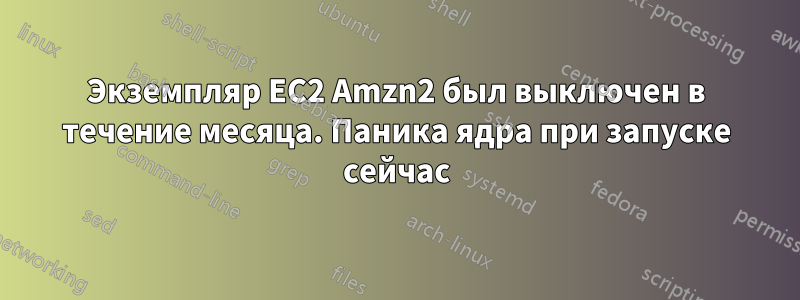 Экземпляр EC2 Amzn2 был выключен в течение месяца. Паника ядра при запуске сейчас