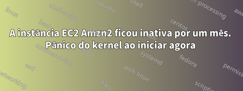 A instância EC2 Amzn2 ficou inativa por um mês. Pânico do kernel ao iniciar agora