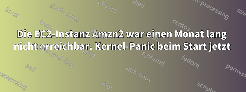 Die EC2-Instanz Amzn2 war einen Monat lang nicht erreichbar. Kernel-Panic beim Start jetzt