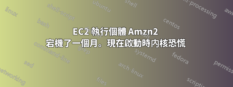 EC2 執行個體 Amzn2 宕機了一個月。現在啟動時內核恐慌