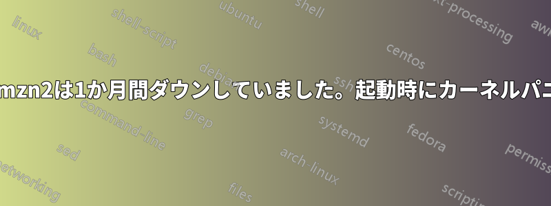 EC2インスタンスAmzn2は1か月間ダウンしていました。起動時にカーネルパニックが発生します