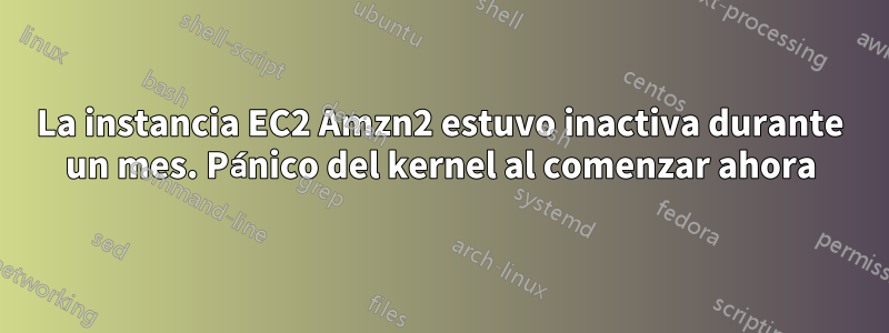 La instancia EC2 Amzn2 estuvo inactiva durante un mes. Pánico del kernel al comenzar ahora