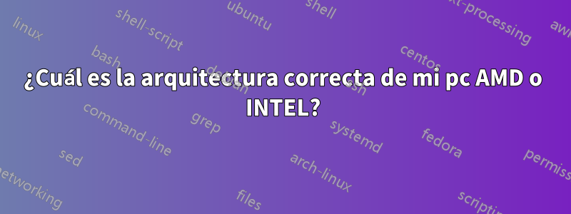 ¿Cuál es la arquitectura correcta de mi pc AMD o INTEL?