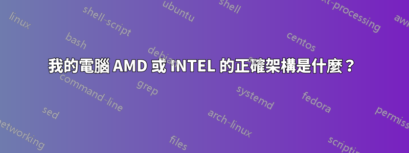 我的電腦 AMD 或 INTEL 的正確架構是什麼？