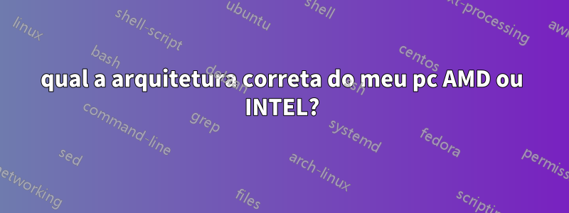 qual a arquitetura correta do meu pc AMD ou INTEL?