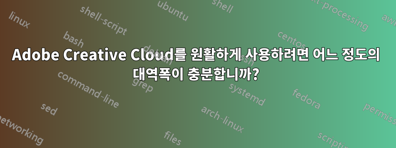 Adobe Creative Cloud를 원활하게 사용하려면 어느 정도의 대역폭이 충분합니까?