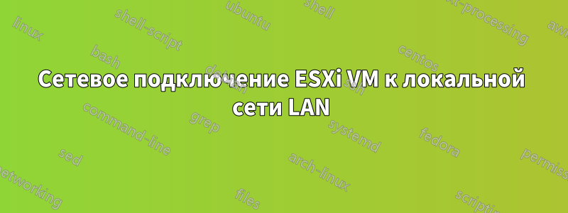 Сетевое подключение ESXi VM к локальной сети LAN