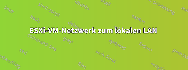 ESXi-VM-Netzwerk zum lokalen LAN