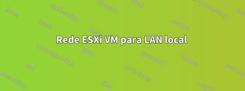 Rede ESXi VM para LAN local