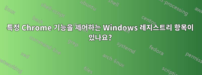 특정 Chrome 기능을 제어하는 ​​Windows 레지스트리 항목이 있나요?