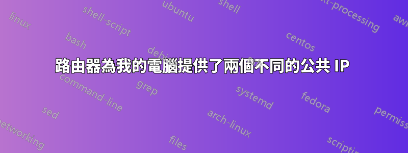 路由器為我的電腦提供了兩個不同的公共 IP