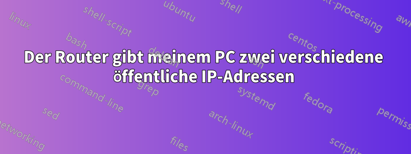 Der Router gibt meinem PC zwei verschiedene öffentliche IP-Adressen