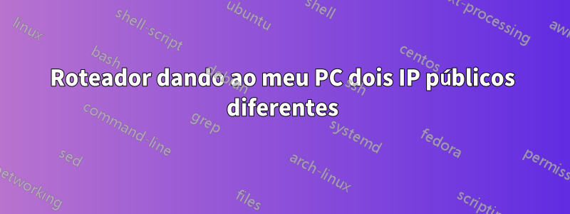 Roteador dando ao meu PC dois IP públicos diferentes