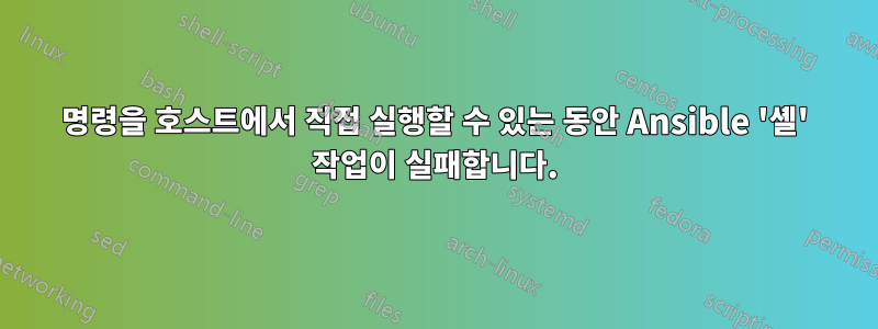 명령을 호스트에서 직접 실행할 수 있는 동안 Ansible '셸' 작업이 실패합니다.