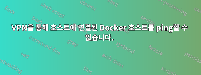 VPN을 통해 호스트에 연결된 Docker 호스트를 ping할 수 없습니다.