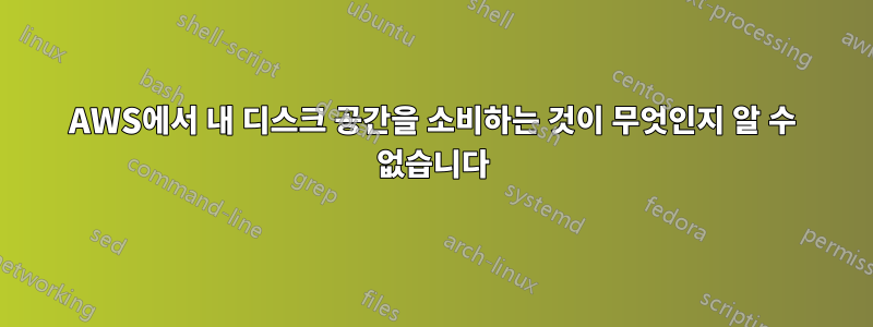 AWS에서 내 디스크 공간을 소비하는 것이 무엇인지 알 수 없습니다