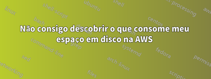 Não consigo descobrir o que consome meu espaço em disco na AWS