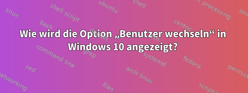 Wie wird die Option „Benutzer wechseln“ in Windows 10 angezeigt?