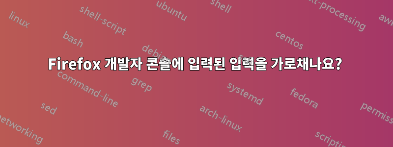 Firefox 개발자 콘솔에 입력된 입력을 가로채나요?