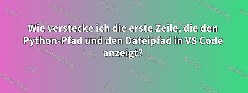 Wie verstecke ich die erste Zeile, die den Python-Pfad und den Dateipfad in VS Code anzeigt?