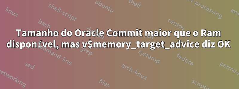 Tamanho do Oracle Commit maior que o Ram disponível, mas v$memory_target_advice diz OK