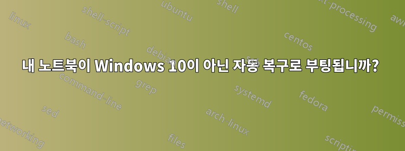 내 노트북이 Windows 10이 아닌 자동 복구로 부팅됩니까?