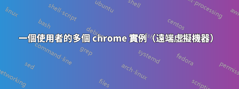 一個使用者的多個 chrome 實例（遠端虛擬機器）