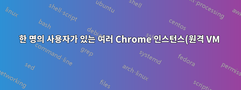 한 명의 사용자가 있는 여러 Chrome 인스턴스(원격 VM)