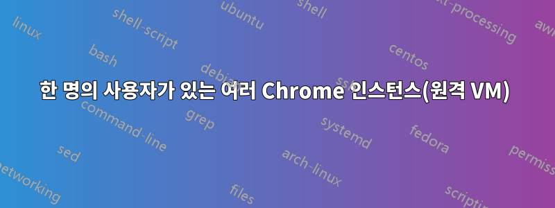 한 명의 사용자가 있는 여러 Chrome 인스턴스(원격 VM)