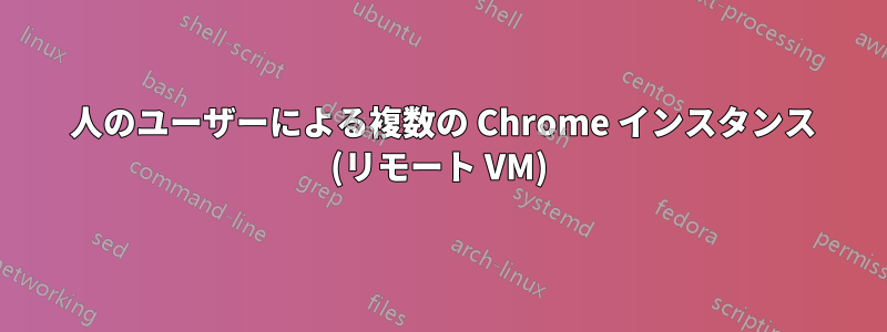 1 人のユーザーによる複数の Chrome インスタンス (リモート VM)