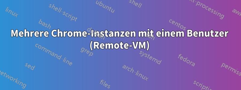 Mehrere Chrome-Instanzen mit einem Benutzer (Remote-VM)