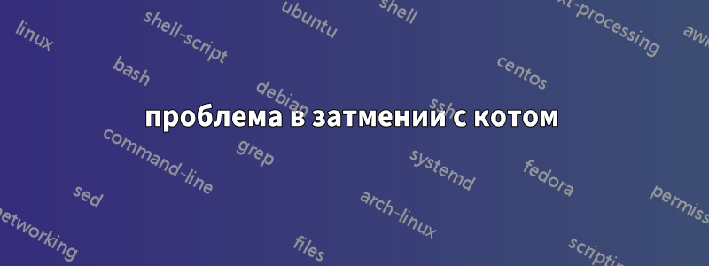 проблема в затмении с котом