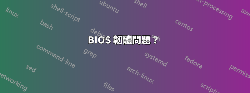 BIOS 韌體問題？