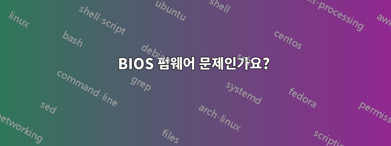 BIOS 펌웨어 문제인가요?