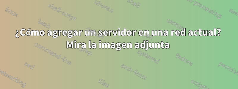 ¿Cómo agregar un servidor en una red actual? Mira la imagen adjunta