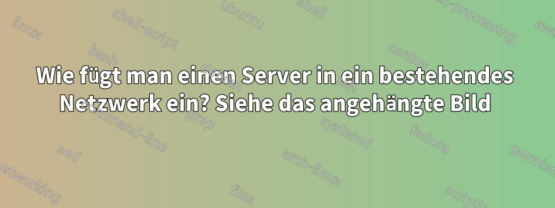 Wie fügt man einen Server in ein bestehendes Netzwerk ein? Siehe das angehängte Bild