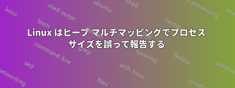 Linux はヒープ マルチマッピングでプロセス サイズを誤って報告する