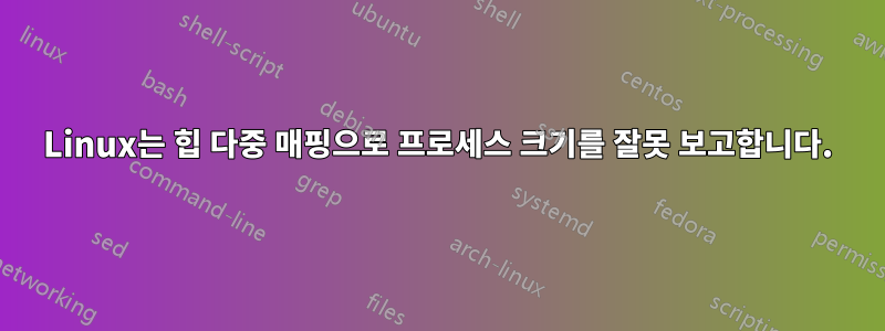 Linux는 힙 다중 매핑으로 프로세스 크기를 잘못 보고합니다.