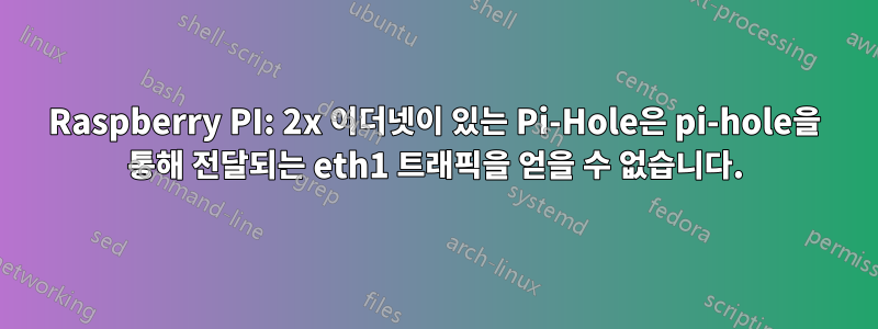 Raspberry PI: 2x 이더넷이 있는 Pi-Hole은 pi-hole을 통해 전달되는 eth1 트래픽을 얻을 수 없습니다.