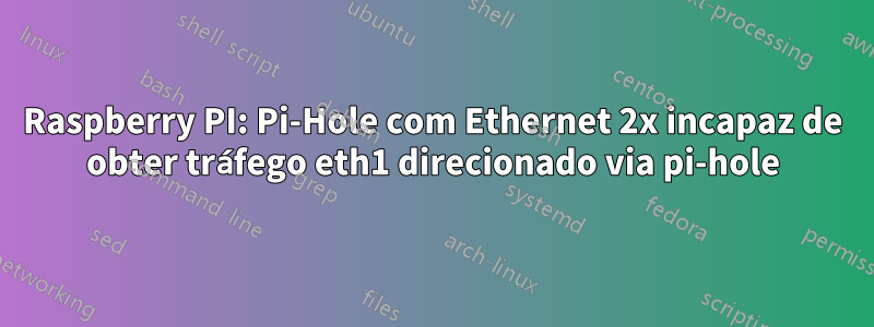 Raspberry PI: Pi-Hole com Ethernet 2x incapaz de obter tráfego eth1 direcionado via pi-hole